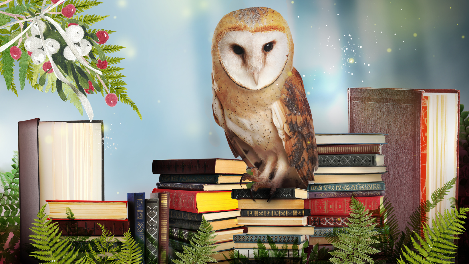 succesgids les 1 actie