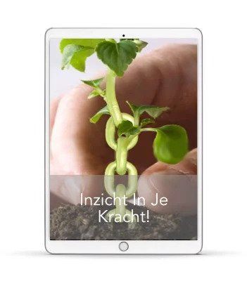Inzicht in je kracht ebook Frank de Moei Inzicht in je kracht